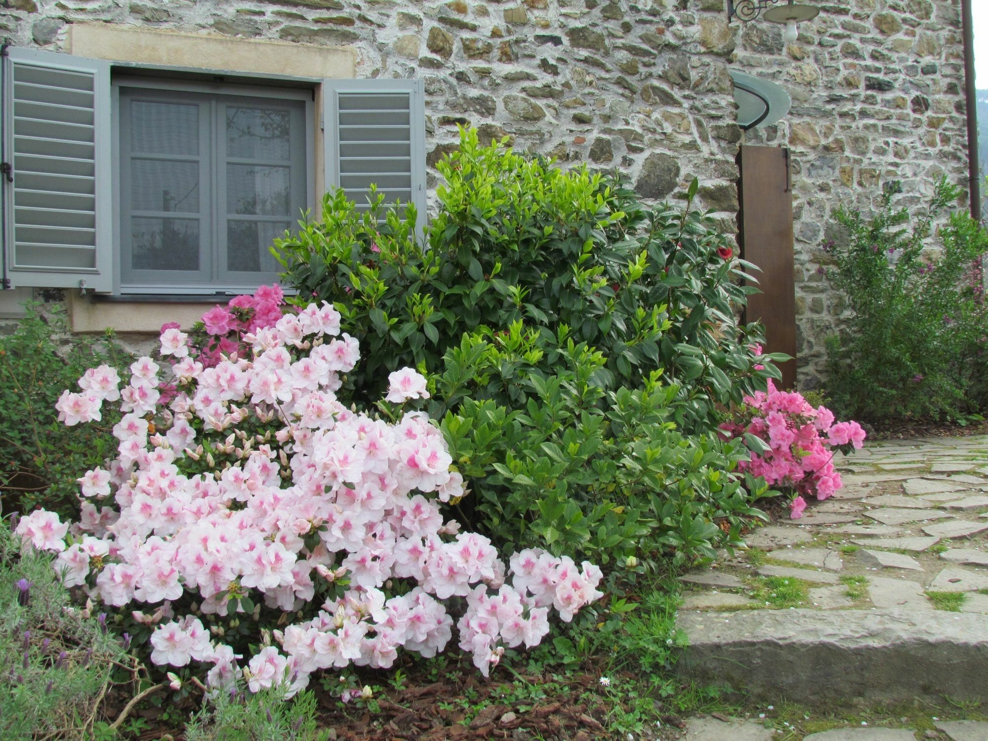 Villanova - Nature & Wellness Levanto
